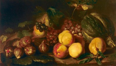 Still-Life of Fruit by Niccolo Cassana